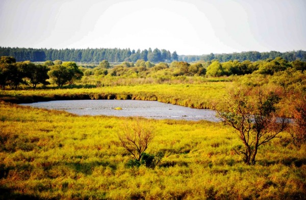 £¨ÃÀÀöÖÐ¹ú¡¤¹Ø×¢ÊªµØ£©£¨2£©´óÃÀÕä±¦µºÊªµØ