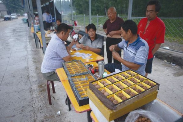 DOUNIAMAG-CHINA-ECONOMY-HEALTH-FOOD-LIFESTYLE-OFFBEAT