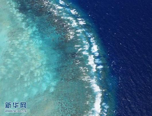 135464489_14668213761851n